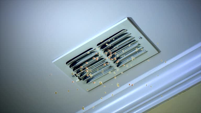  Elk Rapids, MI Airduct Cleaning Pros