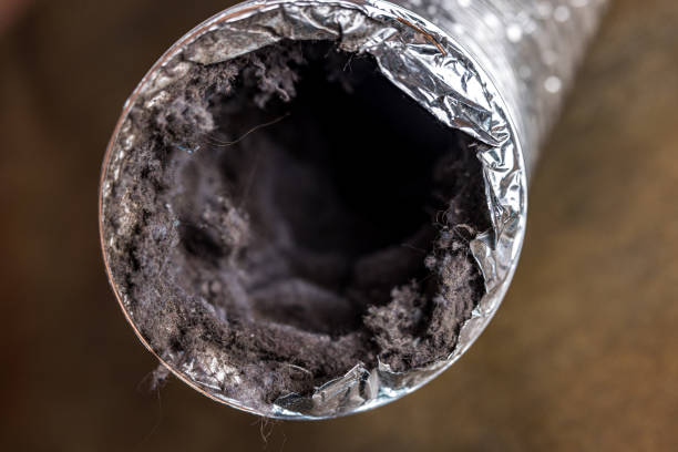 Best Air Duct Mold Removal  in Elk Rapids, MI