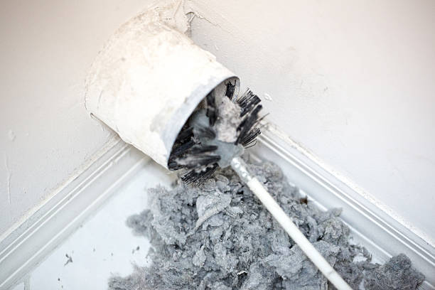 Best Dryer Vent Cleaning Services  in Elk Rapids, MI