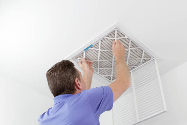 Best Air Duct Cleaning Near Me  in Elk Rapids, MI